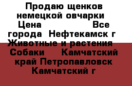 Продаю щенков немецкой овчарки › Цена ­ 5000-6000 - Все города, Нефтекамск г. Животные и растения » Собаки   . Камчатский край,Петропавловск-Камчатский г.